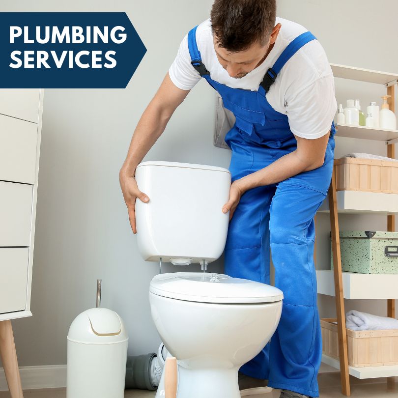 Plumbing Company in Gamaliel, AR